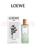 罗意威（LOEWE）奇迹天光女款淡香水50ml 婚礼伴手礼生日礼物送女友 实拍图