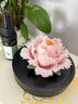 Para Ella永生花陶瓷牡丹生日礼物女伴手礼实用母亲感恩立冬年会结婚纪念日 实拍图