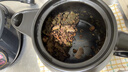 小熊（Bear）智能煎药壶 中药壶 中药锅 熬药电砂锅 全自动中药罐中药煲3升大容量分体式陶瓷家用 JYH-A30A1 实拍图