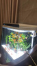 森森 超白玻璃智能桌面鱼缸一体缸自循环HE-480 实拍图