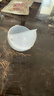 疯狂的主人猫玩具小黄鸭漏食器冻干发射器猫咪狗狗自嗨解闷放零食玩具逗猫棒 实拍图