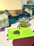 四望山绿茶礼盒信阳毛尖250g茶叶礼品茶明前特级嫩芽新茶春茶节日礼物 实拍图