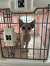 爱丽思（IRIS）航空箱宠物可折叠便携猫笼猫包狗狗猫咪宠物箱手提太空舱透气车载 桃色【含背带】 小号10公斤宠物 实拍图