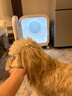 霍曼宠物智能烘干箱猫咪烘干机狗狗吹风机宠物吹水机PD80Pro 实拍图