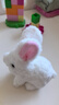 威尔通（WELTSTON）毛绒公仔跳舞唱歌布娃娃玩偶玩具生日礼物女礼品 电动宠物小白兔 实拍图