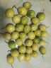 正宗云南百香果钦蜜9号黄金百香果旺久产地直发新鲜水果夏季 特价中果3斤 单果45-60 实拍图
