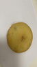 苹果黄芪熬夜水办公室茶包泡水饮品冲泡果茶独立小包装苹果素颜水 苹果黄芪水【大片苹果不打碎15包】 苹果、黄芪、红枣、山楂、玫瑰等 实拍图