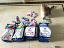 LEGENDSANDY蓝氏全价猫粮成猫幼猫生骨肉冻干粮猎鸟乳鸽系列 猎宴火鸡1.5kg 实拍图