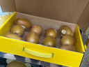 佳沛（zespri）新西兰  阳光金奇异果10粒礼盒巨大果单果约144-175g 水果 猕猴桃 实拍图