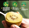 佳沛（zespri）新西兰 阳光金奇异果12粒礼盒特大果单果约122-146g 猕猴桃 水果 实拍图