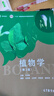 植物学 第三版 马炜梁+植物学实验指导 第3版 王幼芳 高等教育出版社 套装2册 实拍图