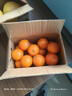 玖原农珍 赣南脐橙现摘新鲜榨汁水果橙子 年货水果礼盒 4.5斤-5斤净果普箱装110-160g 实拍图
