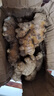 云南罗平小黄姜新鲜生姜农家自种调味新鲜食材蔬菜食用月子姜 优选小黄姜1斤【尝鲜】 实拍图
