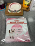 皇家宠物猫粮 幼猫猫粮K36-适用于12月龄50g*3 实拍图