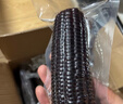 京鲜生东北黑玉米250g*8棒 新鲜香甜糯玉米棒 真空包装粘玉米 源头直发 实拍图