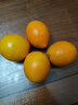 玖原农珍 赣南脐橙现摘新鲜榨汁水果橙子 年货水果礼盒 4.5-5斤净重普箱现摘果110-160g 实拍图