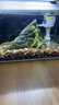 金利佳（Jeneca）鱼缸过滤器三合一吸水泵滤盒水族箱上滤上置循环过滤槽壁挂增氧 【小号白色五件套】适长35-42cm 实拍图