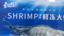 卖鱼郎先生青岛盐冻大虾净重3斤 15-20只/斤 白虾大虾基围虾生鲜 虾类 实拍图