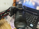 佳能/Canon 60D 70D 77D 80D 90D 半画幅 中高端单反 二手单反相机 数码相机 70D +18-135 套机 99成新 实拍图