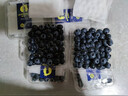 京鲜生 当季云南蓝莓 6盒中果14mm+ 125g/盒 生鲜水果 源头直发 包邮 实拍图