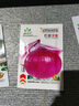 蔬菜种子四季播盆栽阳台庭院香菜生菜菠菜萝卜葱简单易种籽孑大全 红皮洋葱约300粒 实拍图