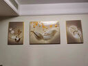 轻奢新款沙发背景墙装饰画寓意好大气高档三联画现代简约客厅挂画 金羽福禄（179187） 35*50*2/70*50*1油画布 环保金框 实拍图