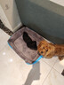 憨憨乐园狗窝冬季保暖宠物猫窝垫子狗狗睡垫小中型犬泰迪金毛冬天狗床用品 实拍图