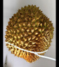 京鲜生 进口金枕头榴莲 净重6-7斤 1个装  鲜果 生鲜 新鲜水果 实拍图