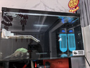 创宁 鱼缸变频加热棒 CN-005-1200W 自动恒温 乌龟小型迷你加温器 实拍图