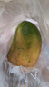 京鲜生 攀枝花凯特芒果 净重8.5斤 带箱9斤 单果400g+ 生鲜水果源头直发 实拍图