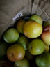 四川半边红脱骨李脆李孕妇水果新鲜直发 单果20g+ 带箱5斤 实拍图