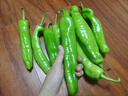 新鲜青尖椒超市生鲜蔬菜下饭菜虎皮尖椒鸡蛋伴侣 尝鲜 500g 含箱 实拍图