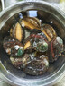 金唐鲜冻大鲍鱼净重500g/ 10头鲍 带壳鲍鱼肉 贝类海鲜生鲜火锅烧食材 实拍图