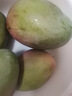 京鲜生 攀枝花凯特芒果 净重8.5斤 带箱9斤 单果500g+ 生鲜水果源头直发 实拍图