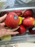 京鲜生 新西兰Dazzle丹烁苹果12粒 巨无霸单果180-220g 水果礼盒 晒单实拍图