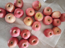 京鲜生 烟台红富士苹果 净重10斤  单果160g以上 水果礼盒 实拍图