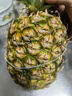 佳农 黑钻菠萝1粒装 菲律宾凤梨 净重2斤起 生鲜水果 源头直发 包邮 实拍图