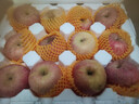 甜醉了 烟台苹果栖霞红富士新鲜水果生鲜山东特产脆甜整箱平果礼盒礼品 红富士净重4.5斤75-80mm 实拍图