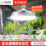精忠报国植物补光灯大棚蔬菜花卉led室内绿植专用仿太阳全光谱园林生长灯 【仿太阳全光谱补光灯】白-30W 配3米灯头线 实拍图