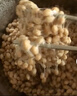 福康纳缘纳豆机家用全自动智能专业纳豆发酵机多功能不锈钢内胆配纳豆菌 纳豆机单机 实拍图
