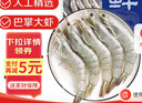 鲜京采 厄瓜多尔白虾 净重3斤/盒 特大号20-30规格   30-45只/盒 实拍图