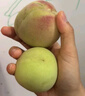 山东当季青州蜜桃新鲜脆甜可口毛桃冬桃产地直发-鲜集 青州蜜桃带箱5斤 实拍图