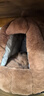 珑小宠 猫窝四季通用半封闭式猫窝狗窝冬季保暖猫屋小型犬宠物用品 南瓜猫窝【14斤猫咪9斤狗狗】 实拍图