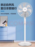 康佳（KONKA）电风扇家用风扇立式摇头落地扇节能轻音小风扇卧室空气循环扇台式换气扇交流定频电扇KF-L21D35 实拍图