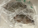梭子蟹鲜活特大野生舟山大螃蟹海鲜新鲜冷冻海蟹水产飞蟹白蟹顺丰 5-7两/只 【净重4斤大号梭子蟹】 实拍图