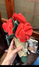 SMILE BELLA英国手捧花束玩偶圣诞情人节玫瑰花毛绒玩具婚礼送女友生日礼物女 玫瑰花束【袋装】 站高28cm 实拍图