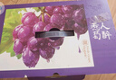 京鲜生 妮娜皇后葡萄 红酒味无籽红提3斤礼盒装 单果12g起 新鲜生鲜水果 实拍图