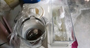 小壮熊恒温调奶器 恒温壶 婴儿暖奶温奶器恒温器 调热奶器 多功能二合一 实拍图