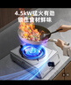 樱雪（INSE）煤气灶燃气灶液化气单灶台式 4.5kw大火力单眼灶 家用猛火煤气炉不锈钢灶具 JZY-T1501(G)W液化气 实拍图