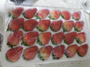田拾记大凉山红颜奶油草莓【JD-多地次日达】九九草莓新鲜水果送礼礼盒 2盒礼盒装丨尝鲜试吃不划算 小果15枚装丨单果12-20g+丨清甜 实拍图